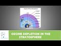 Ozone Layer Dynamics and Its Impact on Life