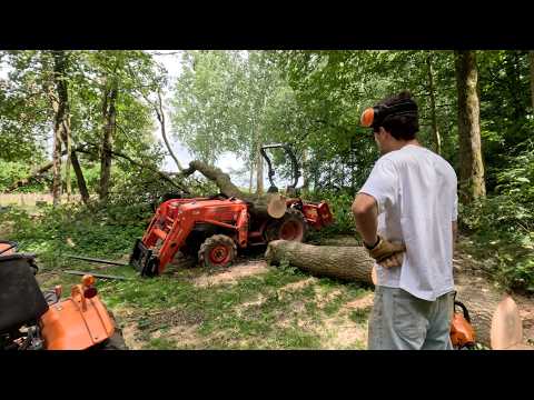 A tree fell on my tractor and my car… Carnage at the micro-farm. thumbnail