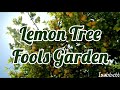 Lemon tree - Fools Garden (sub español/inglés)