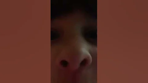 Scary Subscribe