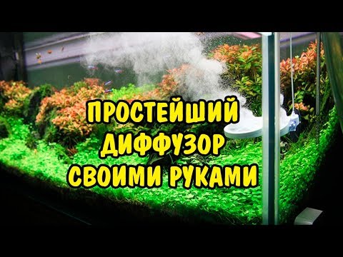 Диффузор для внешнего фильтра своими руками