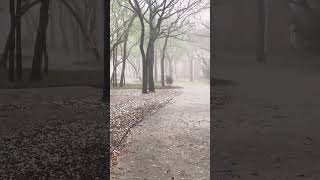 accuweather
