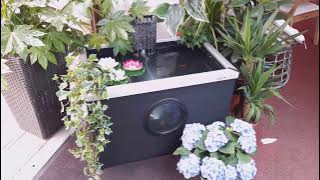 Features of Blagdon's Affinity Rectangle Pond