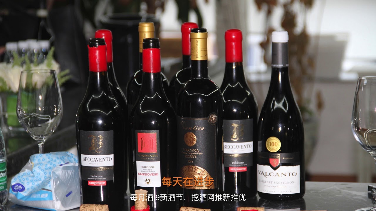 Wajiu wine importing company and B2B platform in China YouTube