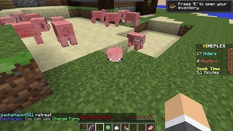 Minecraft Mini Game : Block Hunt #2 - Sneaky Pig!