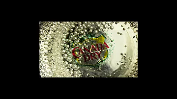 Fizzy Drink Canada Dry 