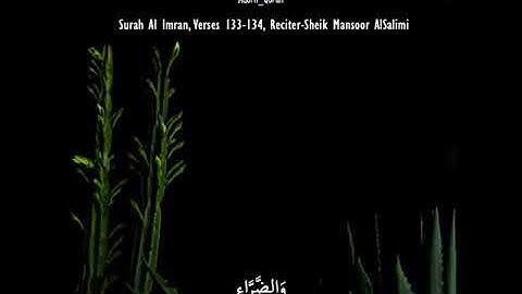 اجمل اصوات القران الكريم