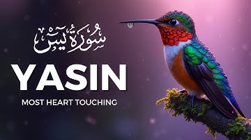 Relaxing Quran For Deep Sleep FALL ASLEEP IMMEDIATELY, Surah Yasin (Yaseen) سورة يس | Quranic Akhira