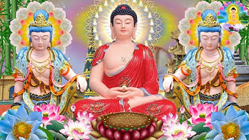 Bật Nghe Kinh Sám Hối Này Tiền Tài Vào Như Nước Sức Khỏe Phước Đức Cả Đời -Tụng Kinh