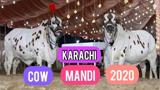 Eid ul Azha in Pakistan 2020 by meems creations