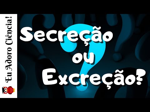 Vídeo: Diferença Entre Egestão E Excreção