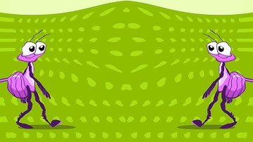 Bob Zoom Animation Effect - Fun and Colorful Intro! | Sponsored By Preview 2 Effects