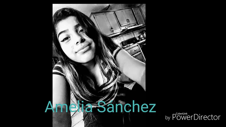 La.mejor cover Amelia Snchez