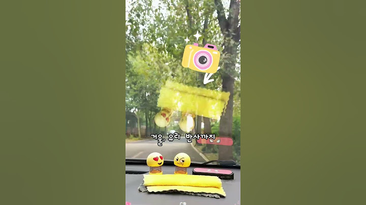 🎥이 렌즈 쓰고 카메라 버렸습니다… ㄹㅇ 인생템
