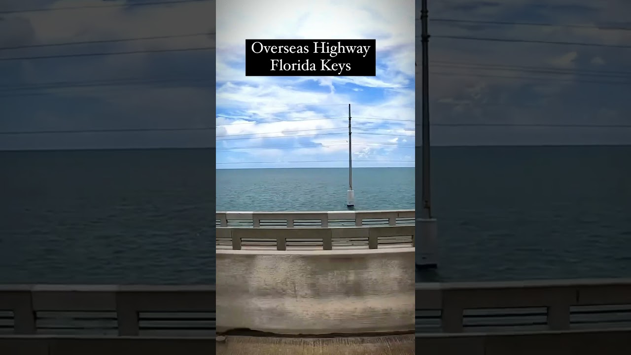 Is this Florida’s most scenic drive ? 🏖️ 