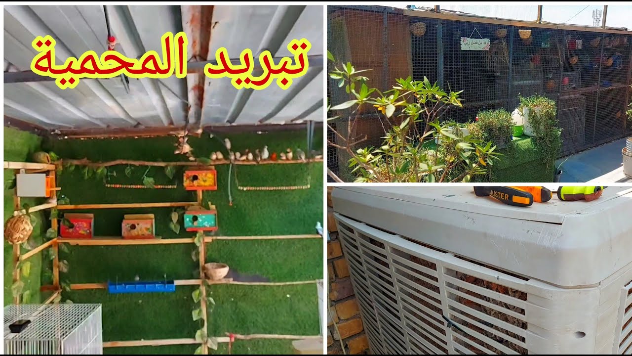 تشغيل المبرده وتضليل المحمية في فصل الصيف