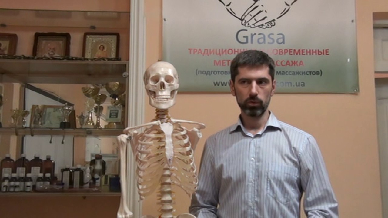 Видеоотзыв Владимира Лебедева о курсе прикладной анатомии Холодова С.А. video editing software free