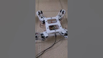 Điều khiển robot nhện