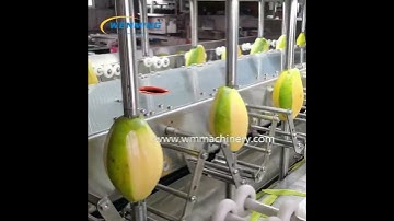 Industrial Mango Peeling Machine 16 working station peeling mango at same time can do 3-4ton/h