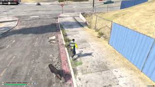 Free Esx Fivem Dog Catcher Job Script