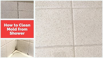 Cleaning Mold: How to Remove Mold From Shower Wall Grout