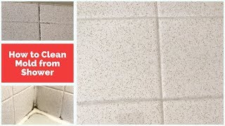 Cleaning Mold: How to Remove Mold From Shower Wall Grout