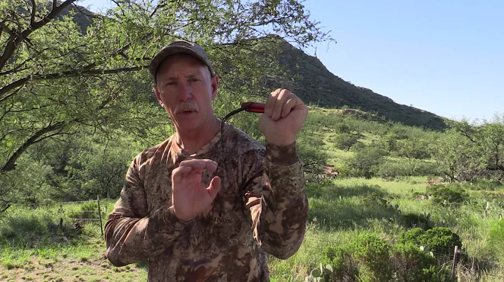 How to call Javelina with the Javelina Buster