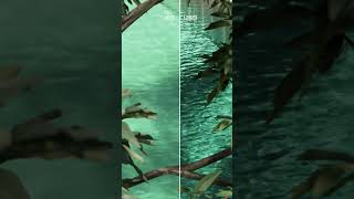 Create realistic water in Lumion 2023 #shorts