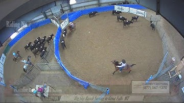 Big Sky Ranch Sorting Saddle Series #5 - #9 - Round #1 - Ride #6