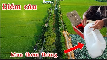 Lạ lùng,đi câu mà phải mua thêm thùng để rọng cá.ai cũng trúng cá