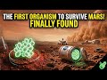 The first organism to survive mars is finally found after decades