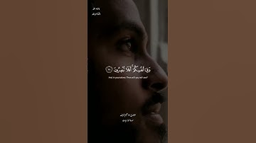 وفي الارض ءايت للموقنين وفي انفسكم /القارئ ابراهيم شرف ابوطالب