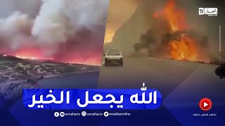 شاهد..حـ.ـرائق مهولة بعدد من ولايات شرق الوطن