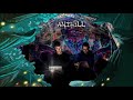 Antihill  -  Forestdelic Records Series Vol 45 (RadiOzora 2020)