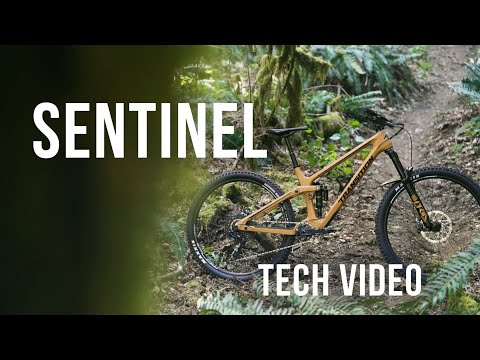 Sentinel Tech Video