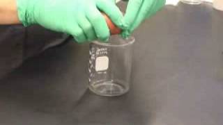 Lysozyme Preparation