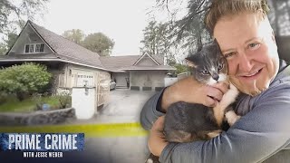 Crime de Fama: Cabeleireiro das Celebridades é Assassinato no Próprio Quintal