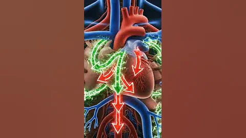 The Little Blue Pill That Failed: How a Heart Drug Accidentally Changed Everything