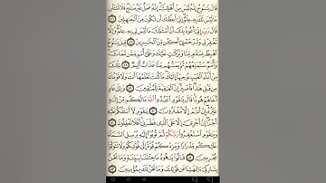 ماهر المعيقلي سورة هود مكتوبة صفحة 227 مصحف المدينة المنورة جودة عالية