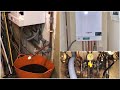 Viessmann Vitodens Boiler Installation - Leeds Plumber