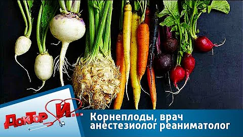 Корнеплоды, врач анестезиолог реаниматолог | Доктор И