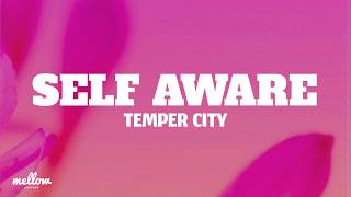 Celebrity Temper City - Self Aware (Lyrics) Profile