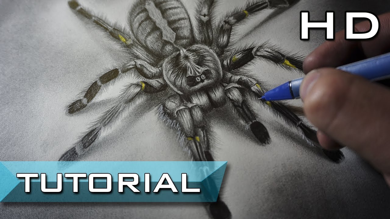 3D Spider😁 - Realistic Drawing | Facebook