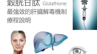 穀胱甘肽 Glutathione 最強效的肝臟解毒機制療程說明