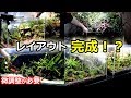 レイアウト完成!?石組みコリドラス水槽立ち上げ