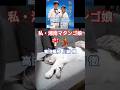『私・湘南マタンゴ娘』高田暢彦, 川崎徹 FIVEニャンズ🐾 #おすすめ #shorts