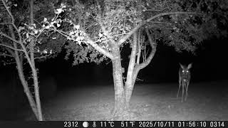 2025 — DSCF1314