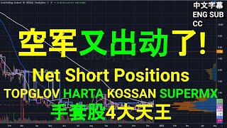 空军又出动了! 大马手套股 TOPGLOV HARTA KOSSAN SUPERMX 净卖空仓位 NET SHORT POSITIONS. [CC 中英文字幕 ENG SUB].