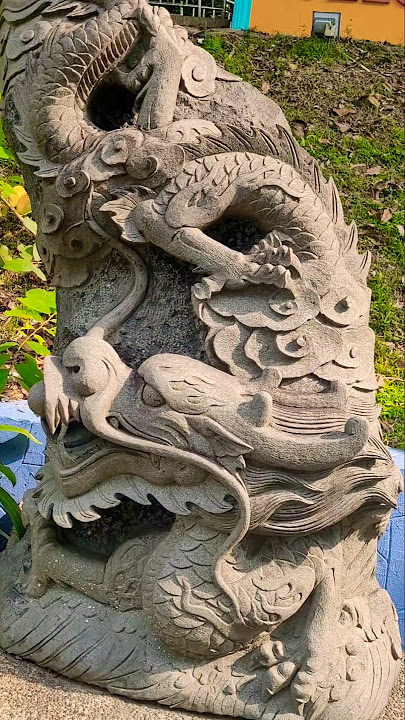 Chinese zodiac or SHENGXIO/SHIO is represented by 12 types of ANIMAL. #shorts