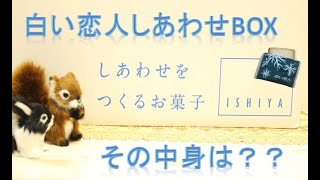 【商品紹介】石屋製菓 白い恋人しあわせBOXの中身は？？